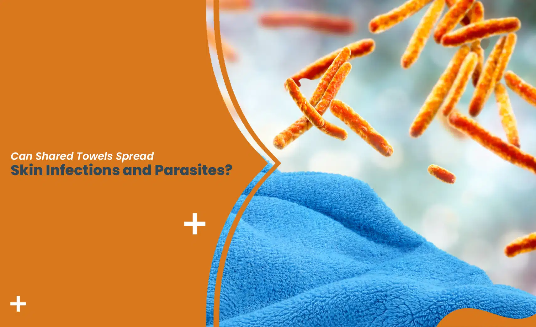 Illustration showing bacteria on a towel explaining how can sharing towels spread infections and skin parasites