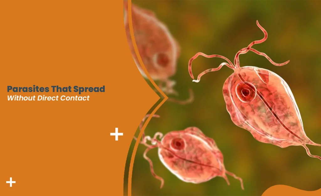 Illustration of parasites that spread without direct contact, showing microscopic organisms transmitted via air and surfaces.