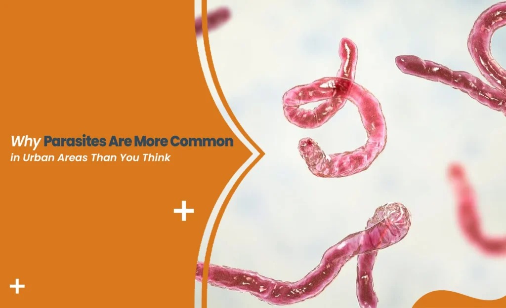 Urban parasites risk illustration showing microscopic worms in city environment concept