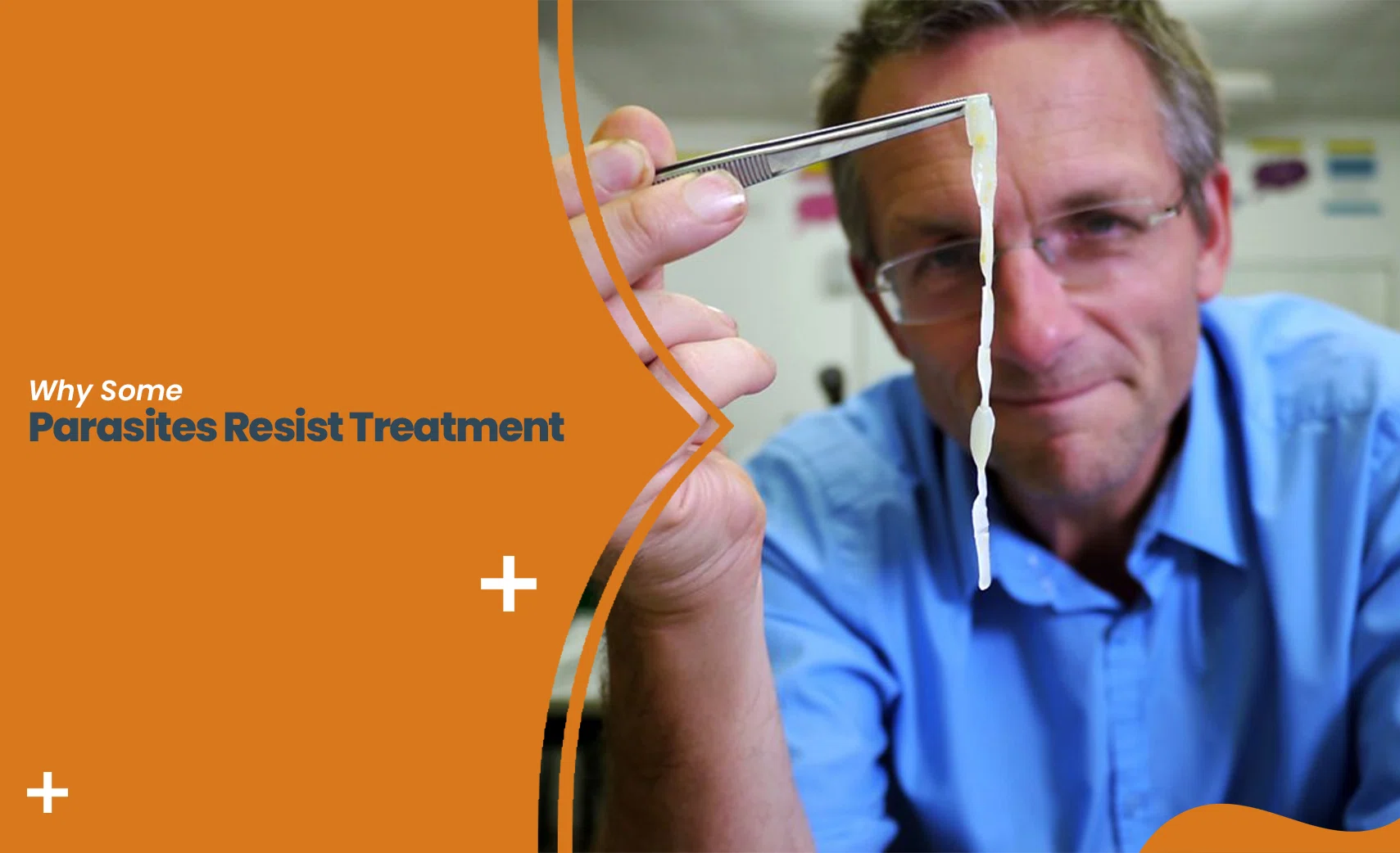 Scientist examining parasite sample explaining Iveredge 12mg parasite resistance and treatment challenges