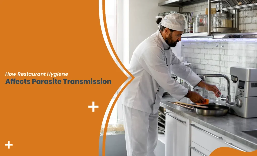 Chef washing utensils in kitchen showing restaurant parasite risk due to hygiene practices