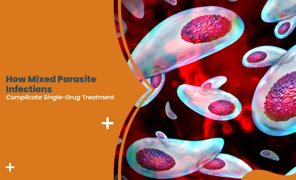 Illustration showing parasite infections complicating single-drug treatment inside the human body
