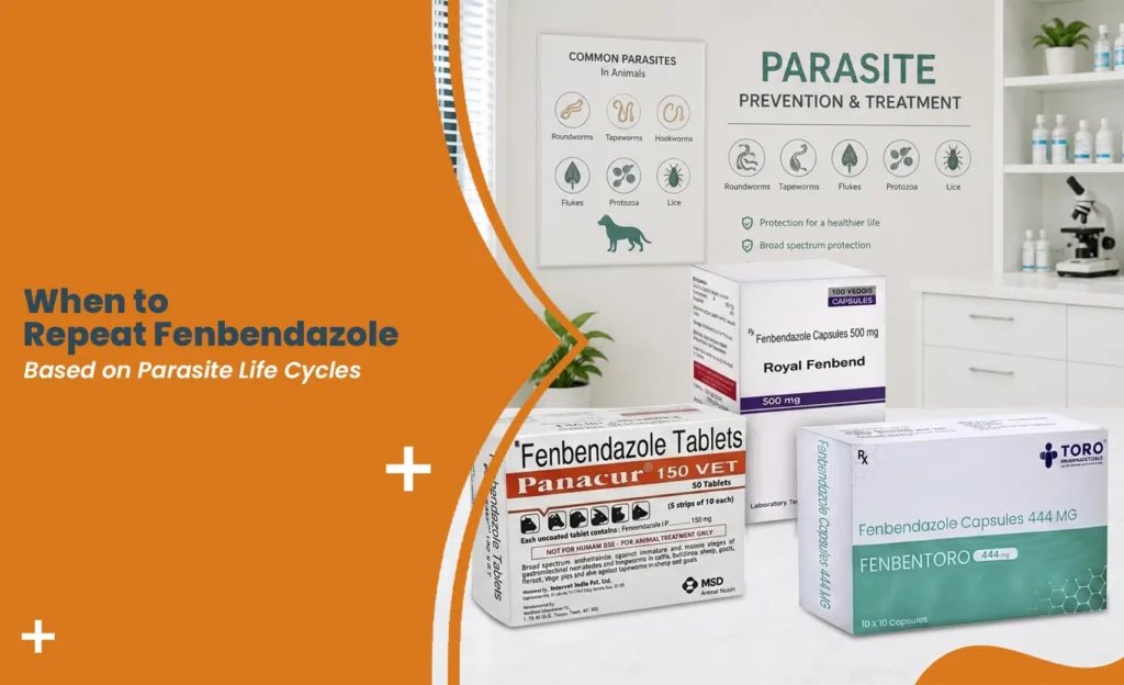 Fenbendazole treatment products showing repeat schedule based on parasite life cycles in animals